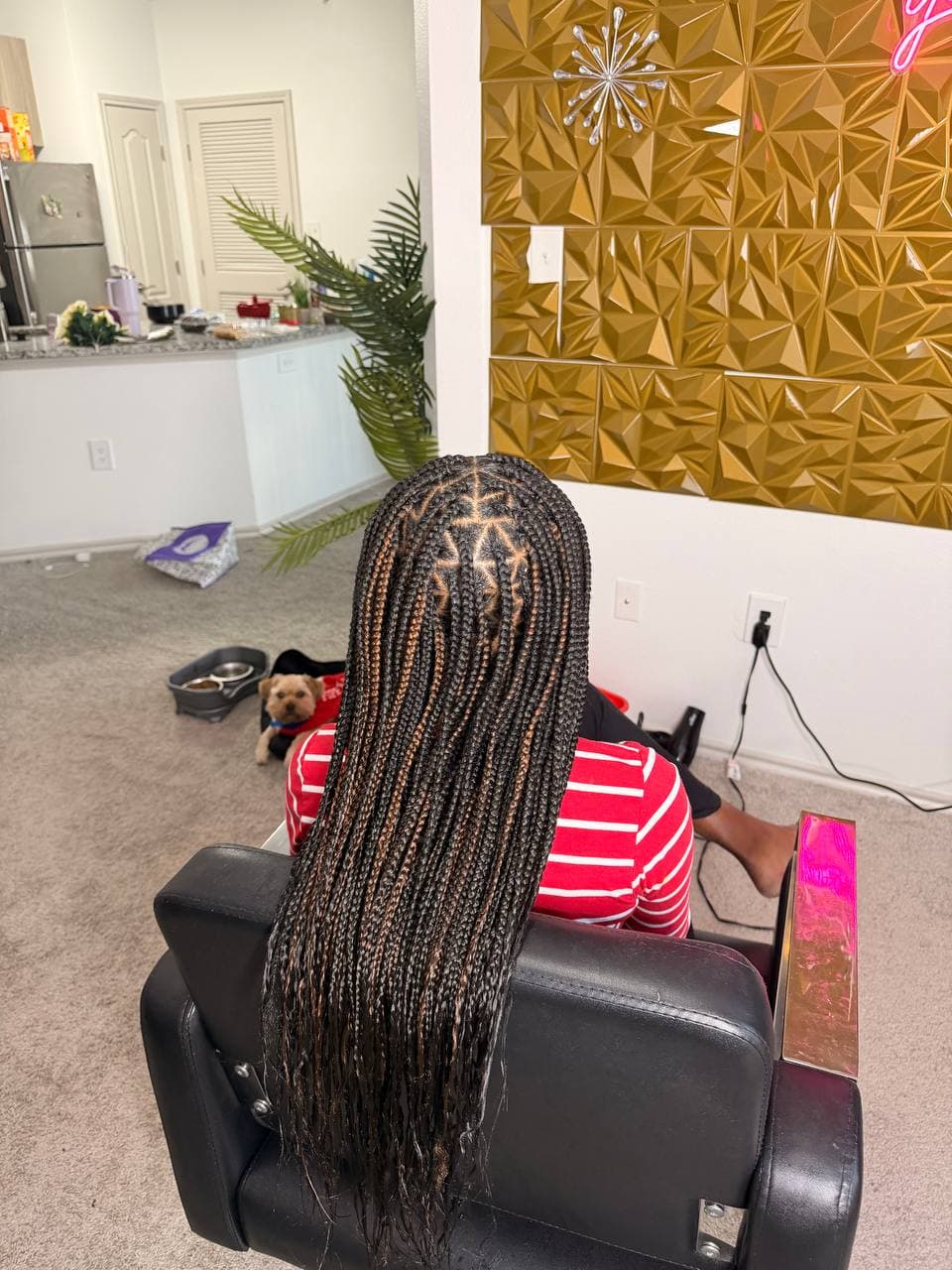 French curl braids by Braids by Praise in Austin, TX